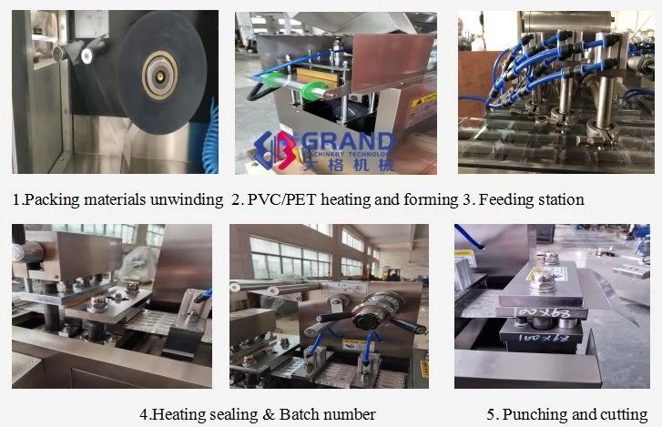 Dpp140 Small Fully Automatic Jam Peanut Butter Blister Packing Machine for Liquid