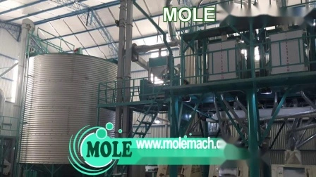 Complétez la fraiseuse de moulin à farine de maïs de blé de 5-500t/24h